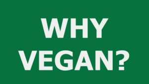 Vegan