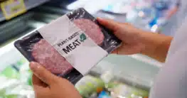Fleischersatzprodukt