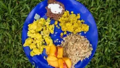 Veganes Rührei