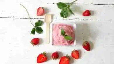 Vegane Eiscreme
